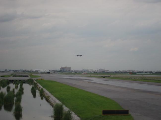 IMG_0835_resize.JPG